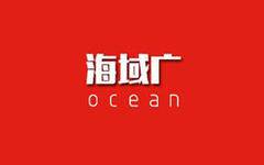 济南海域广信息技术有限公司