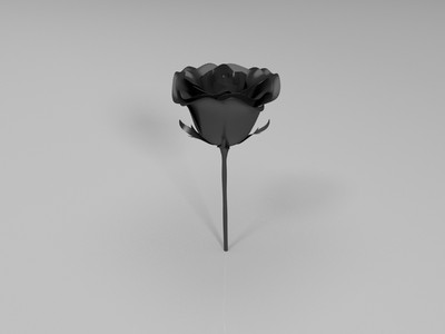 Rose玫瑰