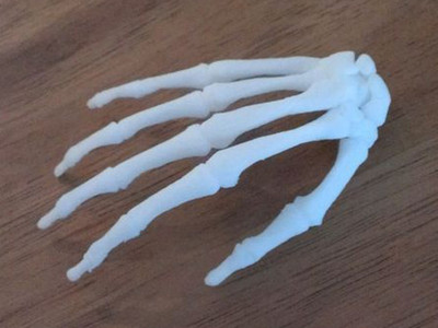 手骨骼