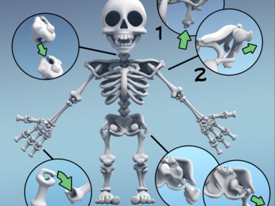 Q版骷髅骨骼模型